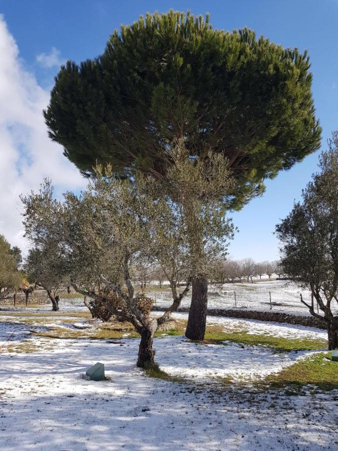 Hotel Casas Del Sevillano El Tornadizo Εξωτερικό φωτογραφία